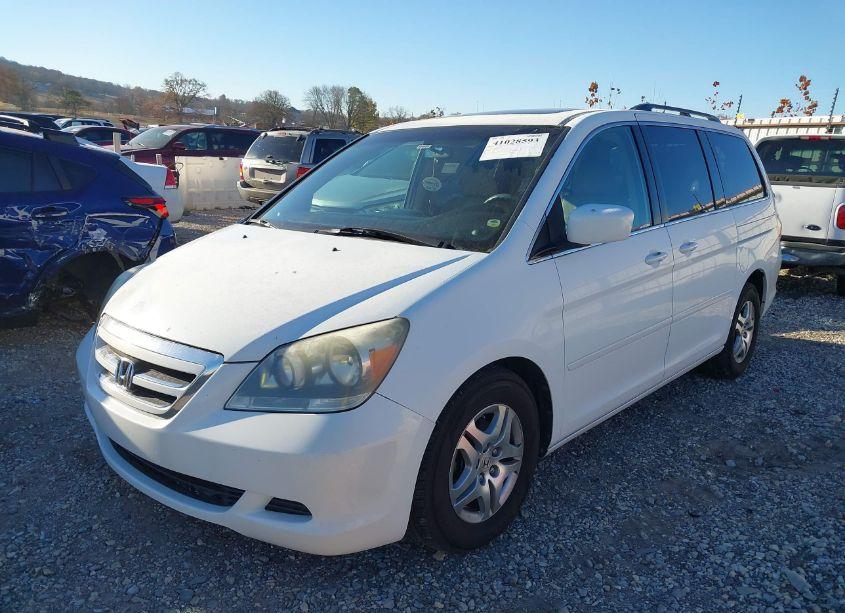 Photo 2 of 2007 Honda Odyssey EX-L (VIN 5FNRL38737B417934)