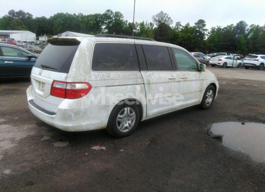 Photo 4 of 2007 Honda Odyssey EX-L (VIN 5FNRL38737B437407)