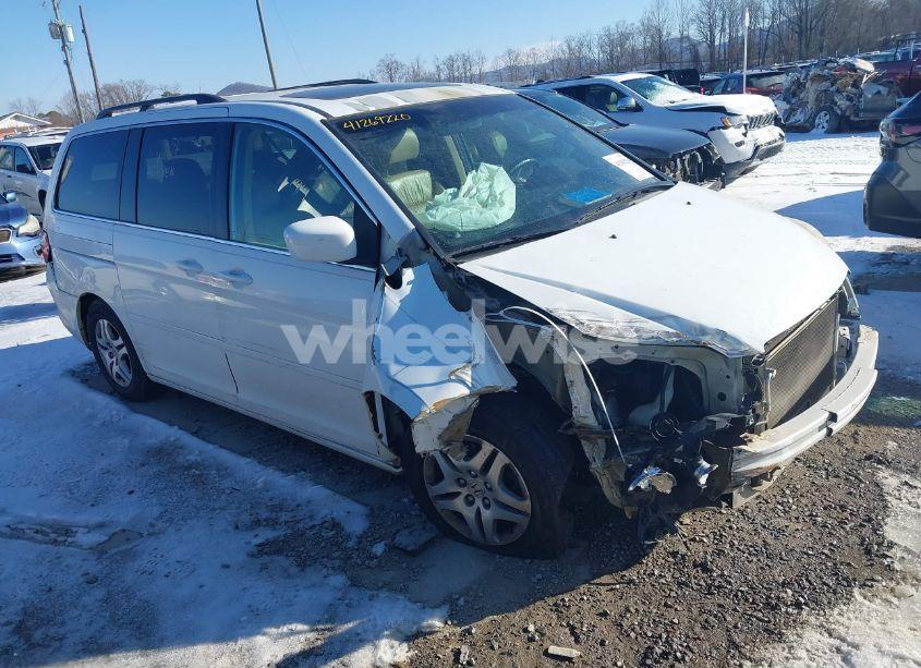 2007 Honda Odyssey EX-L (VIN 5FNRL38737B443174) main photo