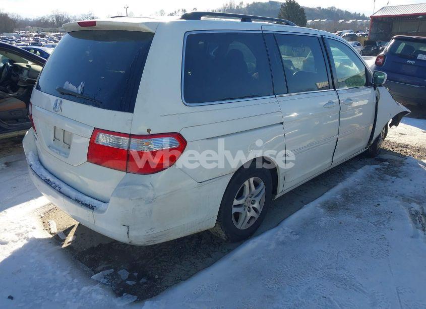 Photo 4 of 2007 Honda Odyssey EX-L (VIN 5FNRL38737B443174)