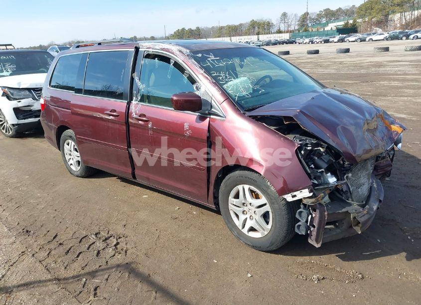2007 Honda Odyssey EX-L (VIN 5FNRL38737B453638) main photo