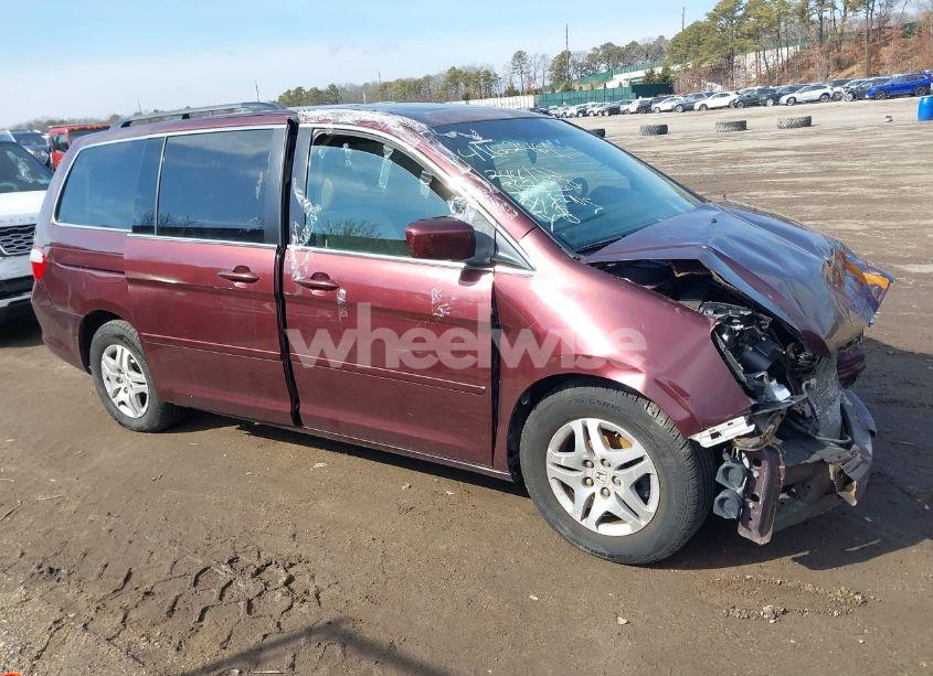 Photo 13 of 2007 Honda Odyssey EX-L (VIN 5FNRL38737B453638)