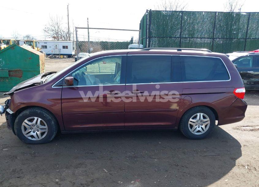 Photo 14 of 2007 Honda Odyssey EX-L (VIN 5FNRL38737B453638)