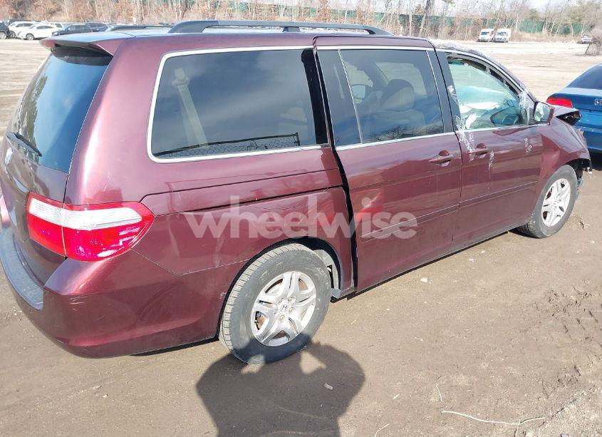 Photo 4 of 2007 Honda Odyssey EX-L (VIN 5FNRL38737B453638)