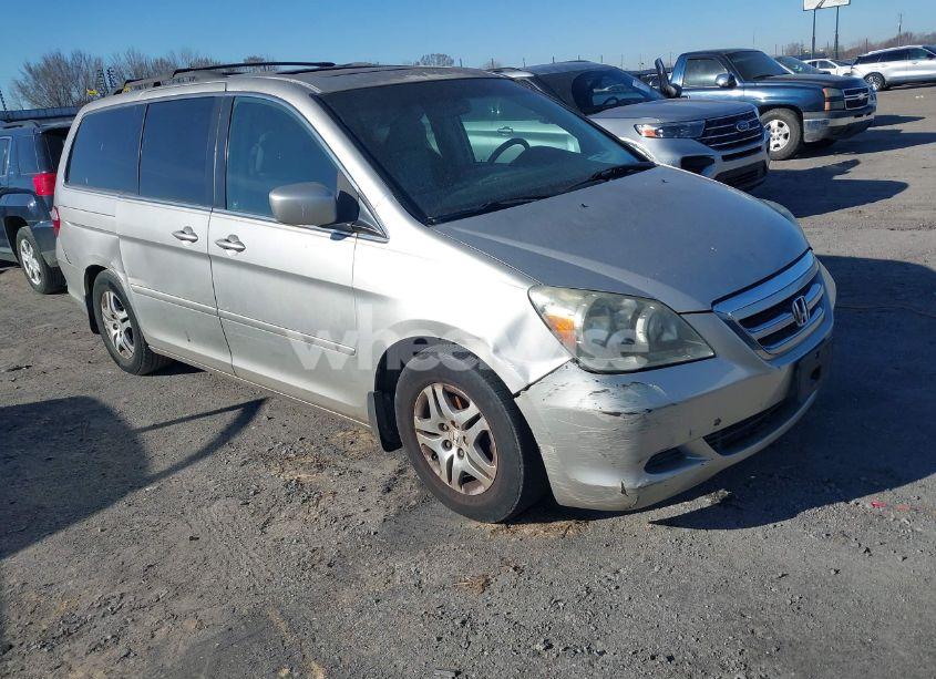 2007 Honda Odyssey EX-L (VIN 5FNRL38737B462632) main photo