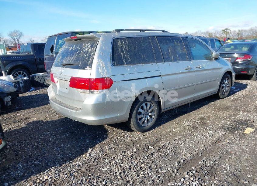 Photo 4 of 2008 Honda Odyssey EX-L (VIN 5FNRL38738B035534)