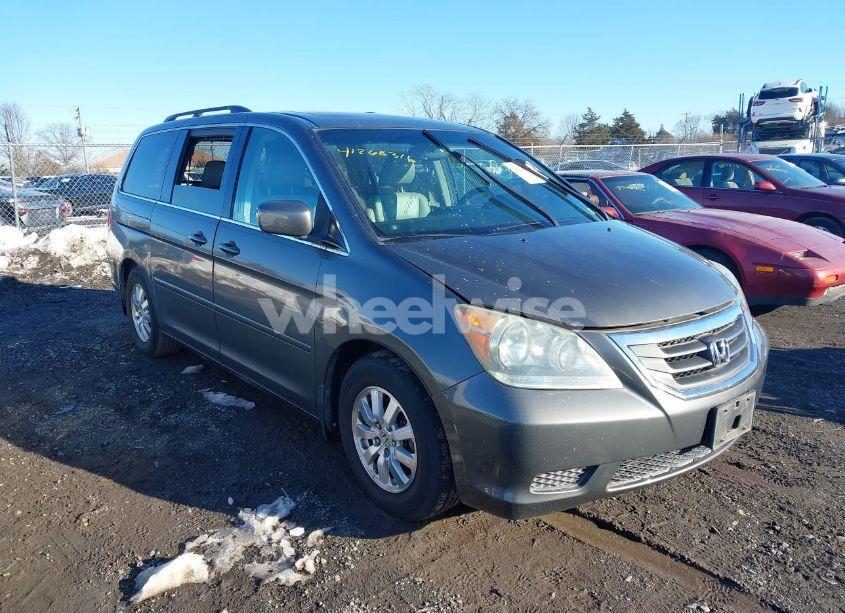 2008 Honda Odyssey EX-L (VIN 5FNRL38738B048543) main photo