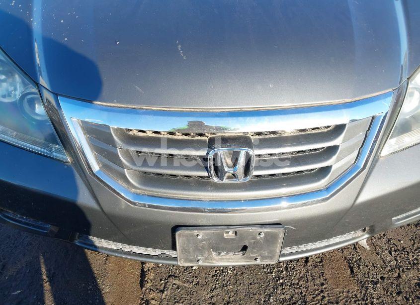 Photo 6 of 2008 Honda Odyssey EX-L (VIN 5FNRL38738B048543)