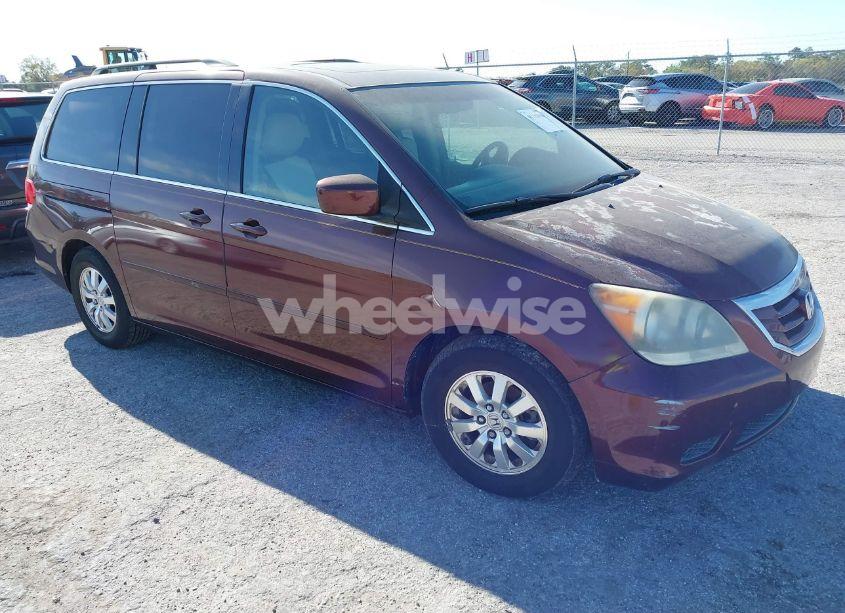 2008 Honda Odyssey EX-L (VIN 5FNRL38738B085821) main photo