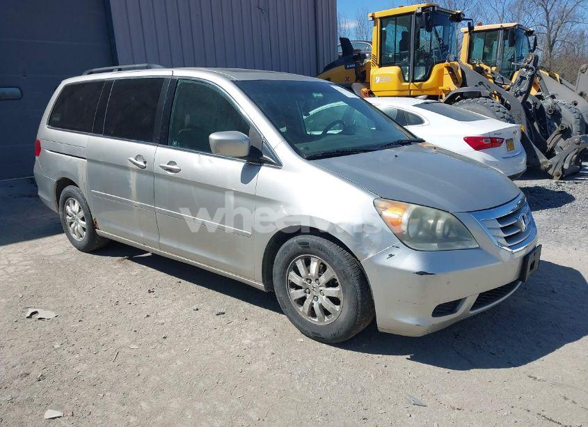 2008 Honda Odyssey EX-L (VIN 5FNRL38738B098262) main photo