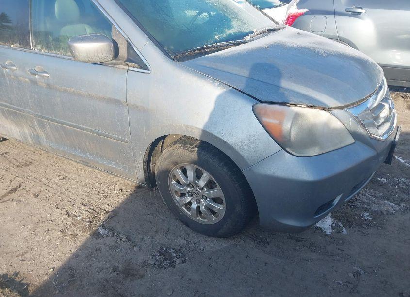 2009 Honda Odyssey EX-L (VIN 5FNRL38739B002518) main photo