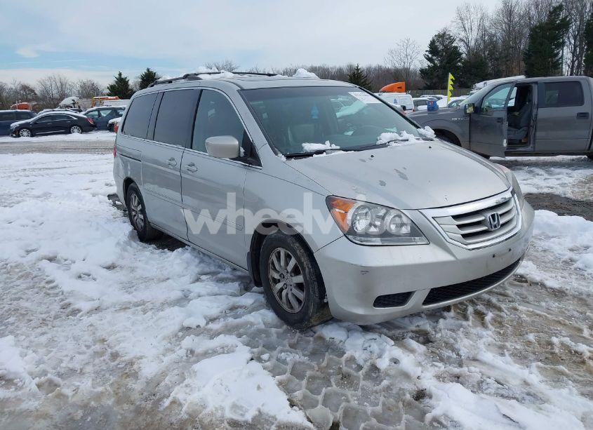 2009 Honda Odyssey EX-L (VIN 5FNRL38739B028858) main photo