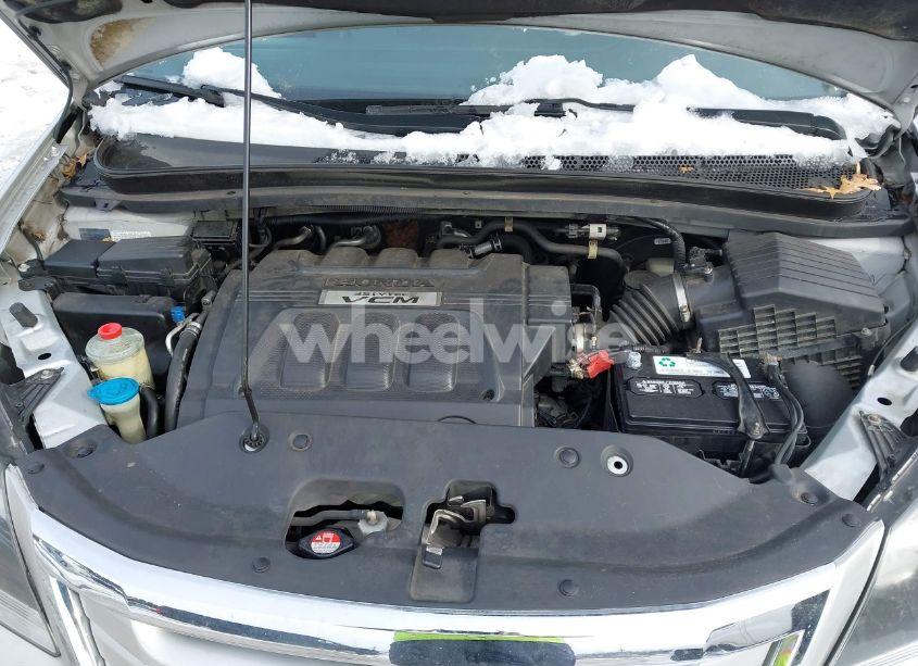 Photo 10 of 2009 Honda Odyssey EX-L (VIN 5FNRL38739B028858)