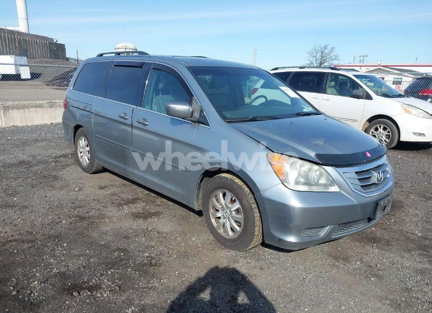 2009 Honda Odyssey EX-L (VIN 5FNRL38739B042369) main photo