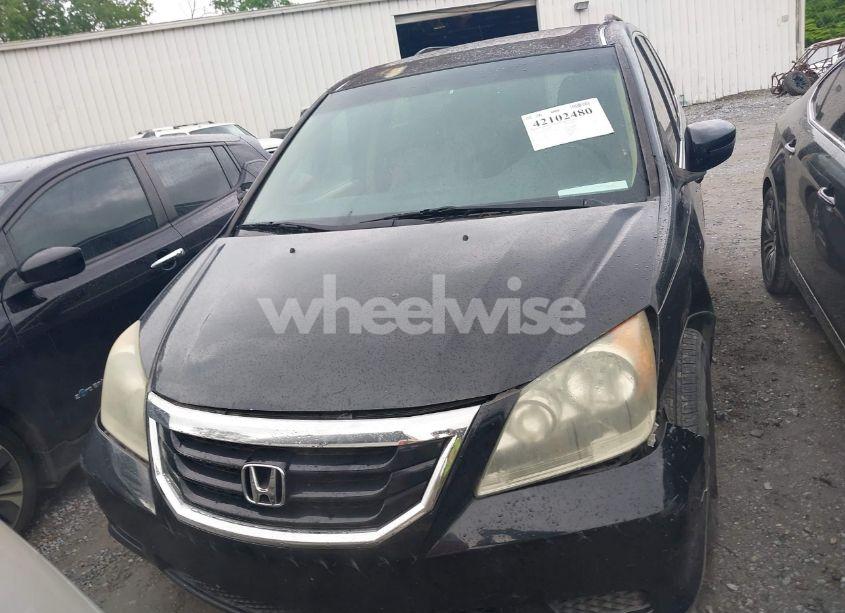 Photo 12 of 2009 Honda Odyssey EX-L (VIN 5FNRL38739B045692)