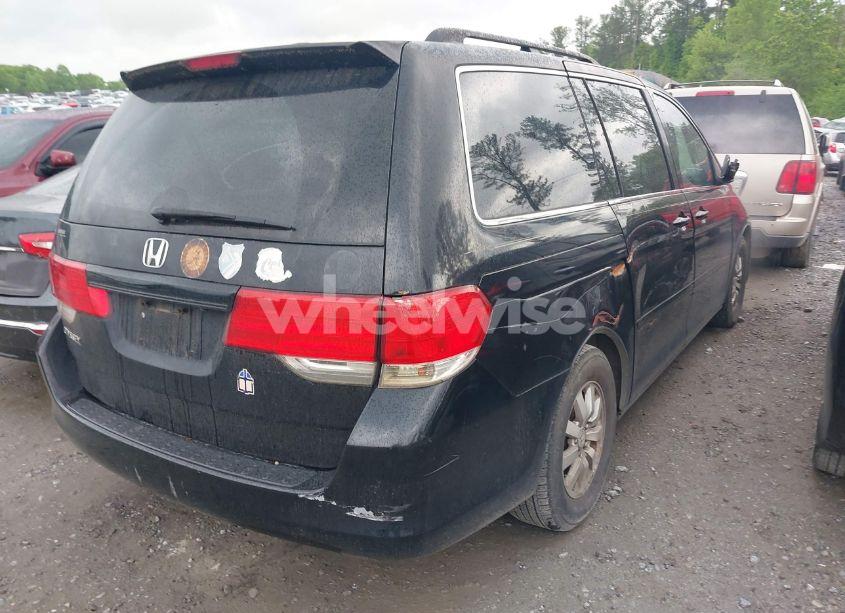 Photo 4 of 2009 Honda Odyssey EX-L (VIN 5FNRL38739B045692)