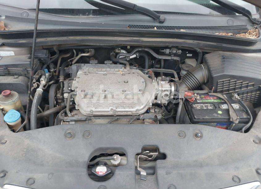 Photo 10 of 2006 Honda Odyssey EX-L (VIN 5FNRL38746B008372)