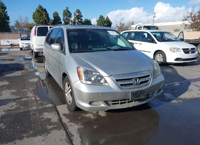 2006 Honda Odyssey EX-L (VIN 5FNRL38746B029920) main photo