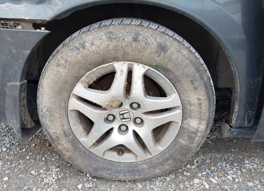 Photo 12 of 2006 Honda Odyssey EX-L (VIN 5FNRL38746B413163)