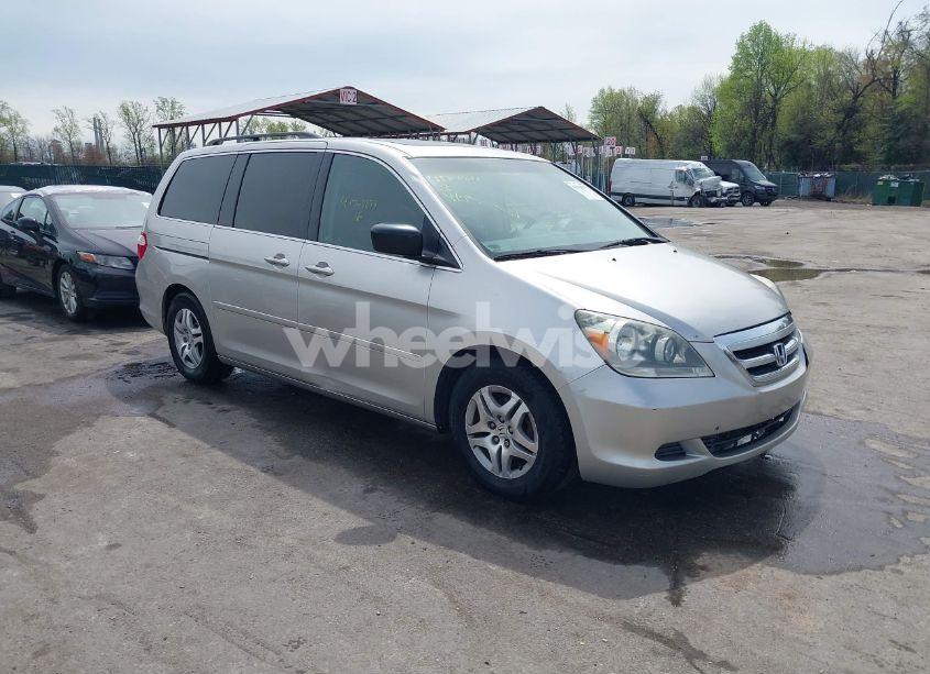 2007 Honda Odyssey EX-L (VIN 5FNRL38747B094039) main photo