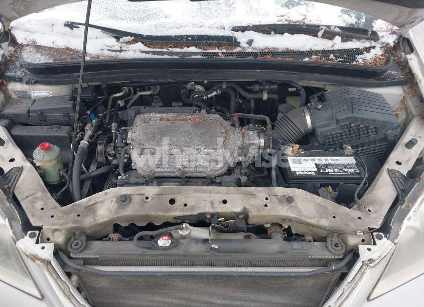 Photo 10 of 2007 Honda Odyssey EX-L (VIN 5FNRL38747B097877)