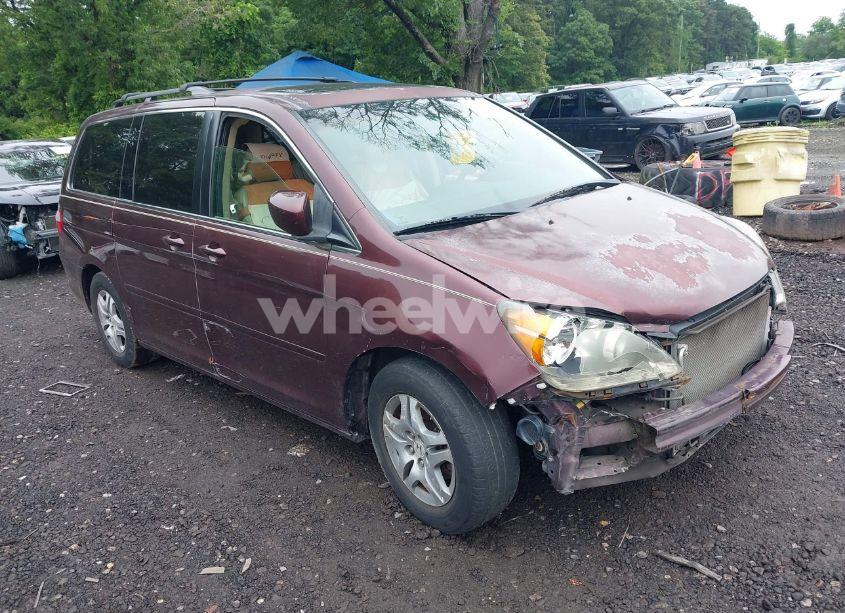 2007 Honda Odyssey EX-L (VIN 5FNRL38747B407963) main photo