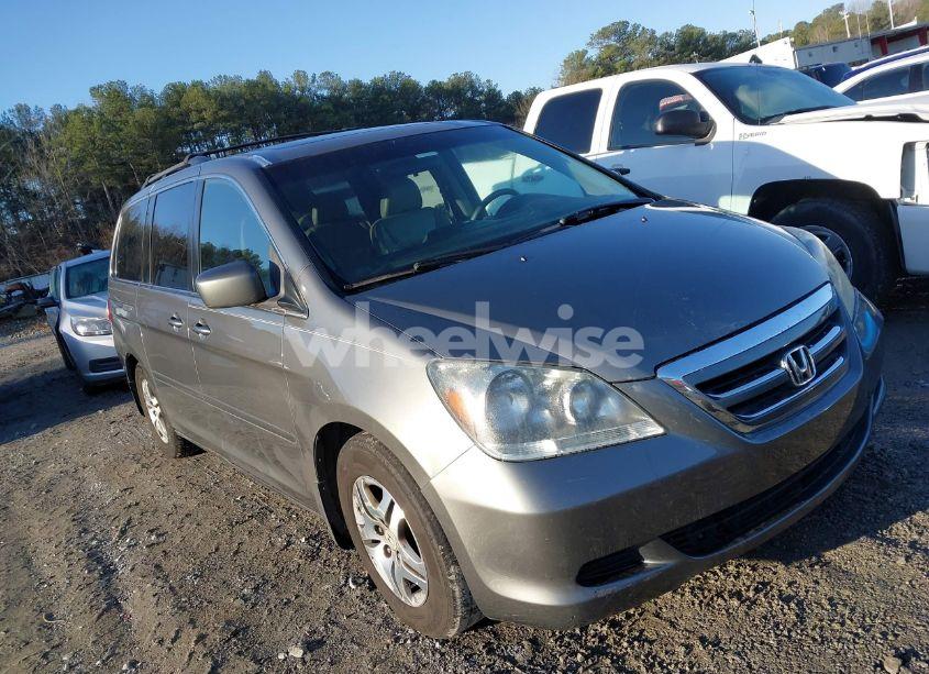 2007 Honda Odyssey EX-L (VIN 5FNRL38747B415979) main photo
