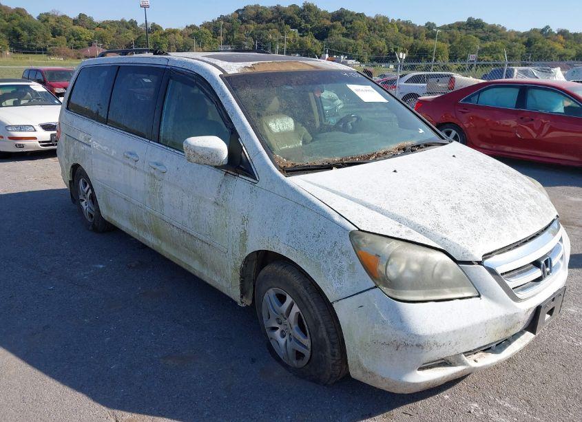 2007 Honda Odyssey EX-L (VIN 5FNRL38747B427095) main photo