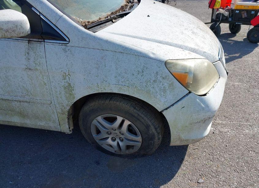 Photo 13 of 2007 Honda Odyssey EX-L (VIN 5FNRL38747B427095)