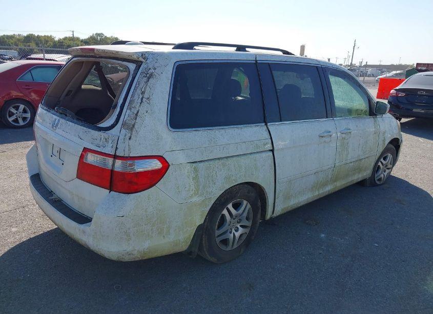 Photo 4 of 2007 Honda Odyssey EX-L (VIN 5FNRL38747B427095)