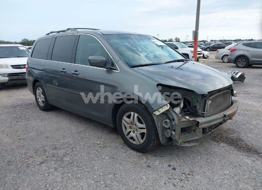 2007 Honda Odyssey EX-L (VIN 5FNRL38747B453311) main photo