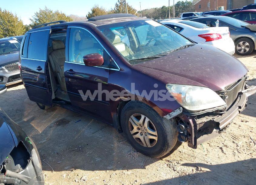 2007 Honda Odyssey EX-L (VIN 5FNRL38747B462509) main photo