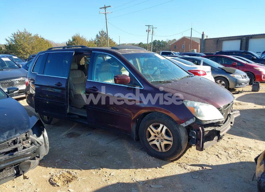 Photo 14 of 2007 Honda Odyssey EX-L (VIN 5FNRL38747B462509)