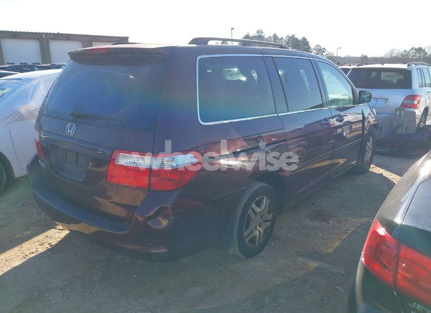 Photo 4 of 2007 Honda Odyssey EX-L (VIN 5FNRL38747B462509)