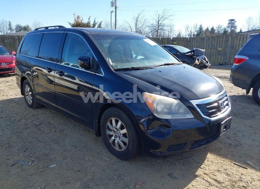2008 Honda Odyssey EX-L (VIN 5FNRL38748B028608) main photo