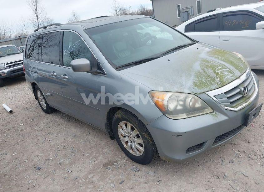 2008 Honda Odyssey EX-L (VIN 5FNRL38748B045957) main photo