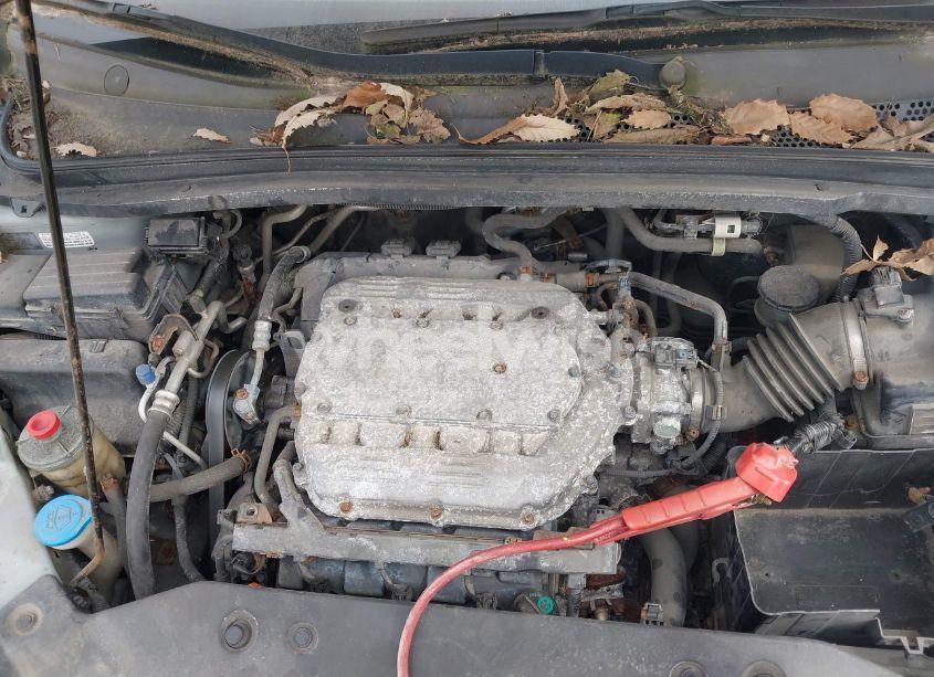 Photo 10 of 2008 Honda Odyssey EX-L (VIN 5FNRL38748B045957)