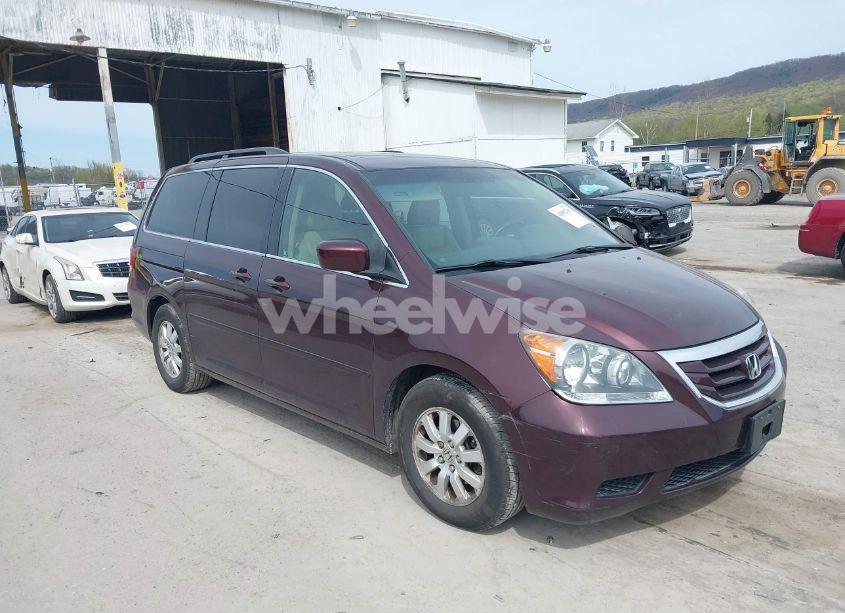 2008 Honda Odyssey EX-L (VIN 5FNRL38748B402957) main photo