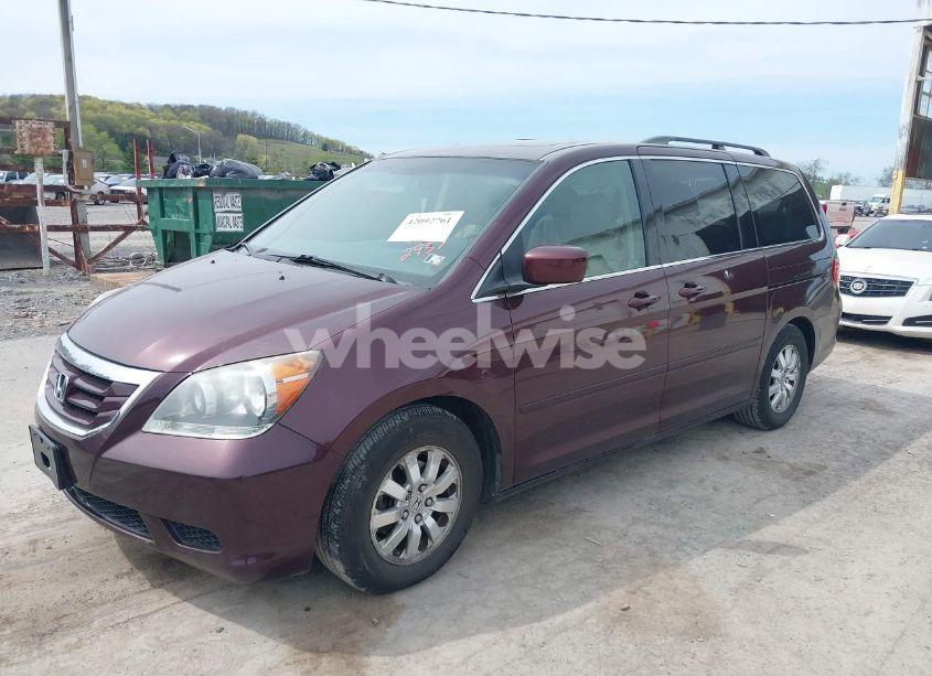Photo 2 of 2008 Honda Odyssey EX-L (VIN 5FNRL38748B402957)