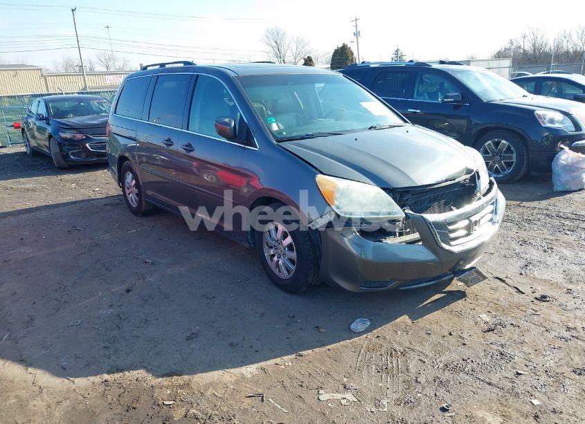 2008 Honda Odyssey EX-L (VIN 5FNRL38748B404434) main photo
