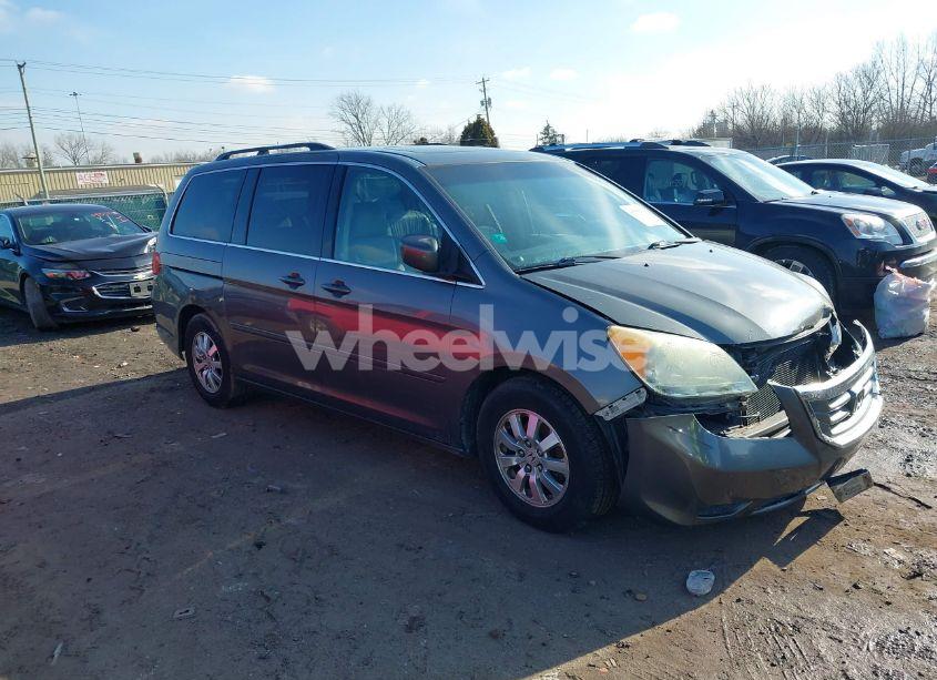Photo 13 of 2008 Honda Odyssey EX-L (VIN 5FNRL38748B404434)