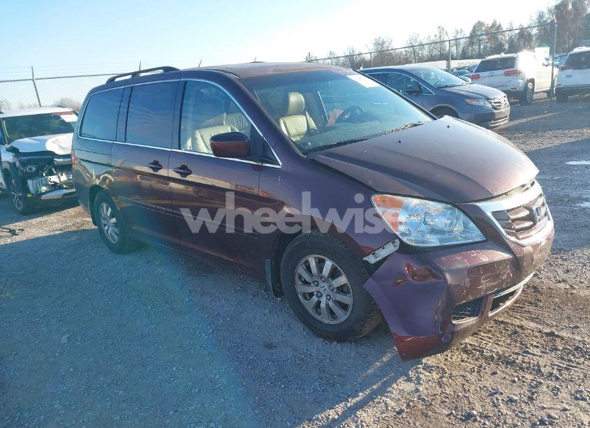 2008 Honda Odyssey EX-L (VIN 5FNRL38748B408984) main photo