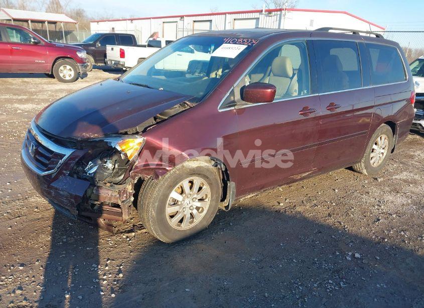 Photo 2 of 2008 Honda Odyssey EX-L (VIN 5FNRL38748B408984)