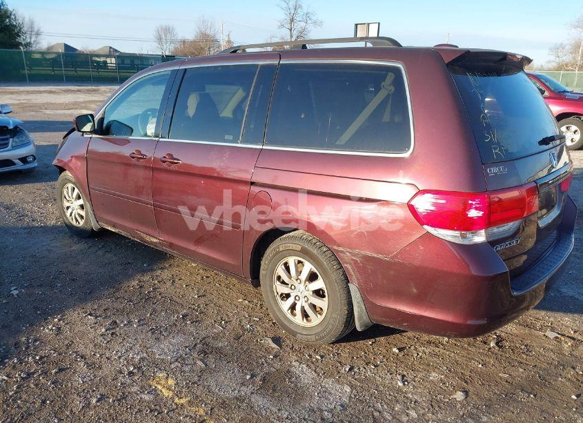 Photo 3 of 2008 Honda Odyssey EX-L (VIN 5FNRL38748B408984)