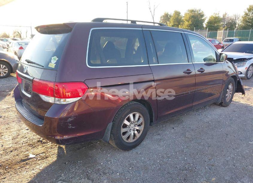 Photo 4 of 2008 Honda Odyssey EX-L (VIN 5FNRL38748B408984)
