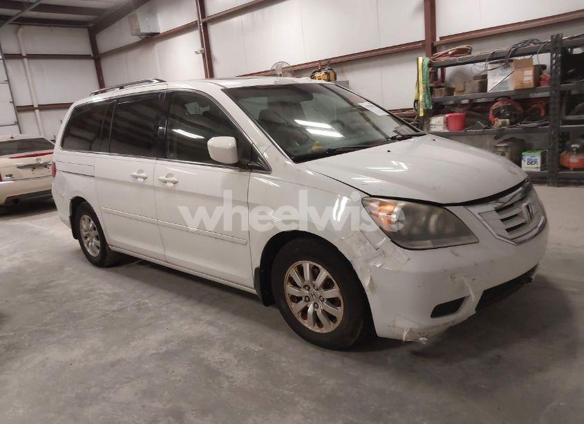 2008 Honda Odyssey EX-L (VIN 5FNRL38748B409231) main photo