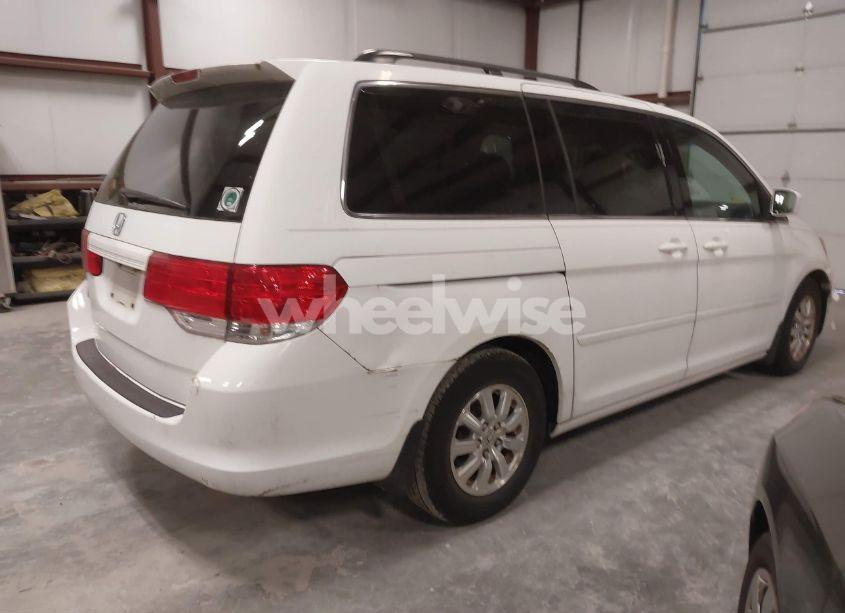 Photo 4 of 2008 Honda Odyssey EX-L (VIN 5FNRL38748B409231)