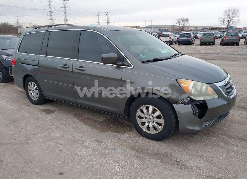 2008 Honda Odyssey EX-L (VIN 5FNRL38748B413635) main photo