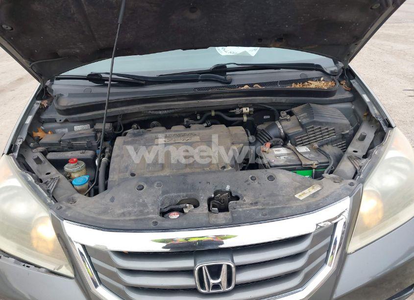 Photo 10 of 2008 Honda Odyssey EX-L (VIN 5FNRL38748B413635)