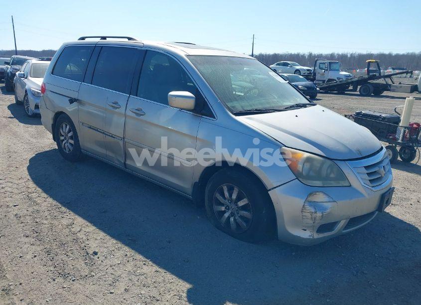 2009 Honda Odyssey EX-L (VIN 5FNRL38749B001460) main photo